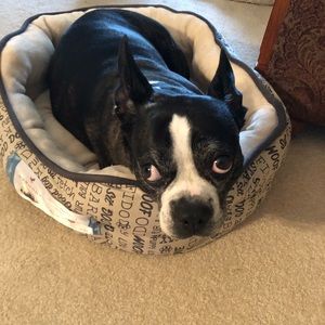 Meet your Posher, Nancy